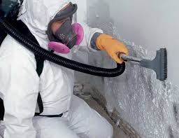 Asbestos and Lead Testing During Mold Inspection in Highland, AR